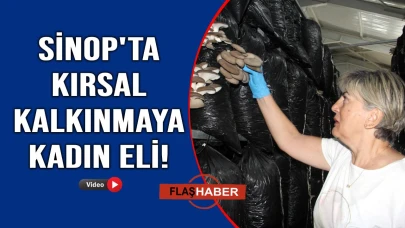 16 kadın el ele verdi, Sinop'u mantar üretiminde zirveye taşıdı!