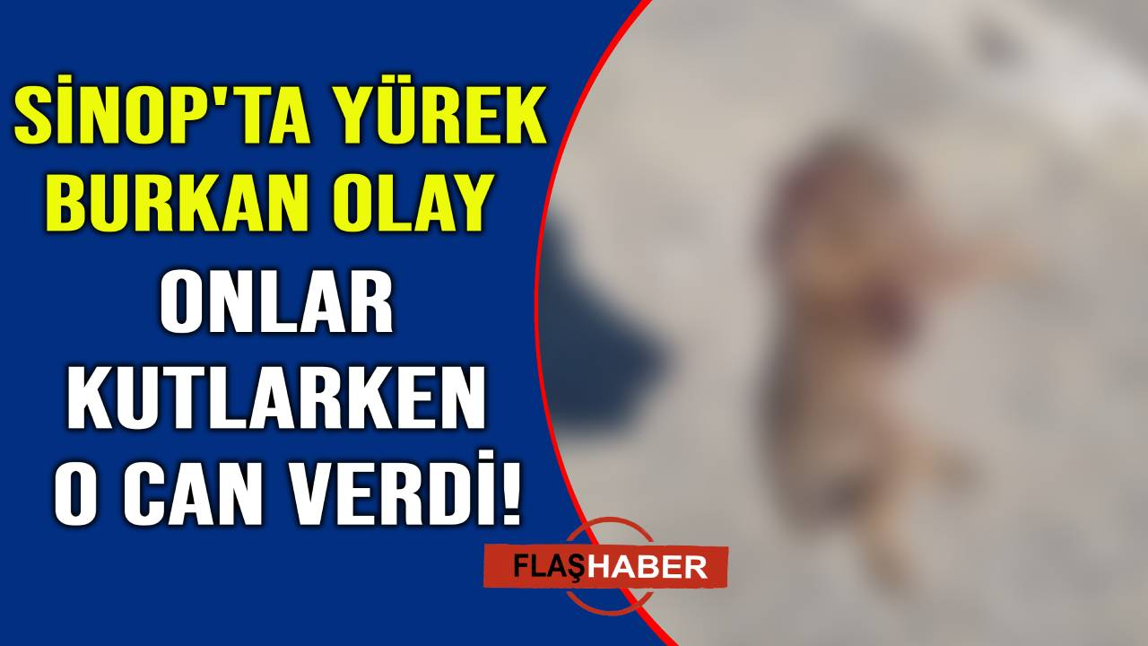 O an kimse fren yapmadı