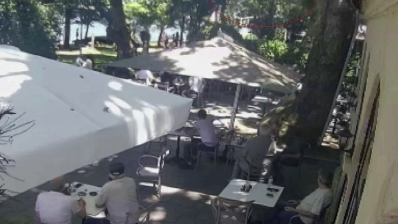 Çınardan kopan dal can aldı: O anlar kamerada