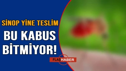 Vatandaş kaçacak yer aradı
