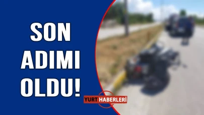 Yol kenarında acı son
