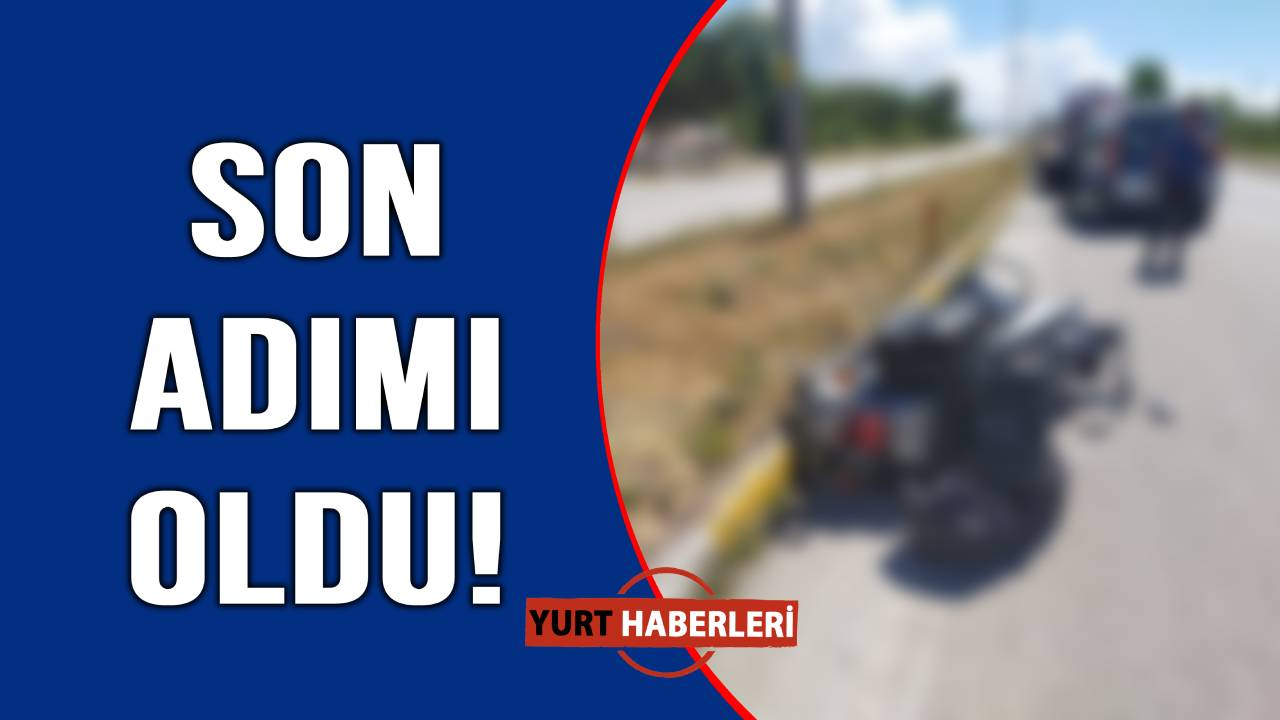 Yol kenarında acı son