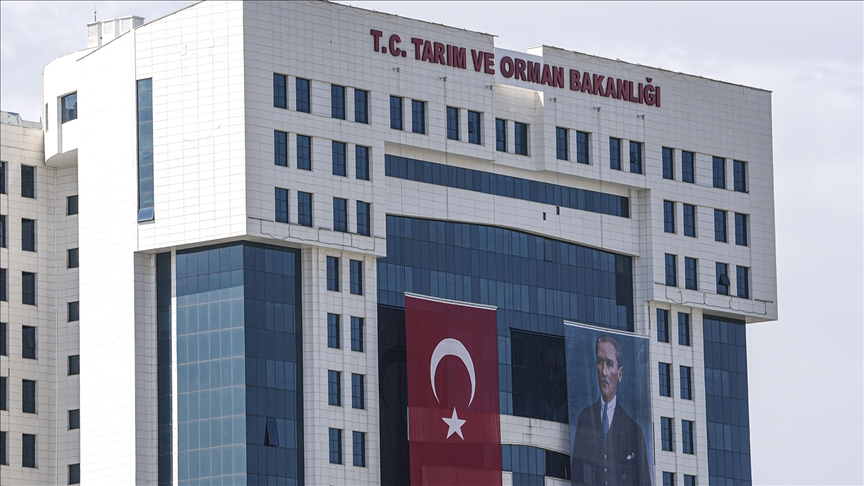 Tarım ve Orman Bakanlığından "hayvan pazarları" ve "yapay et" ile ilgili iddialara yanıt