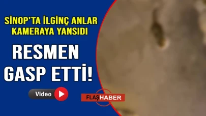 Gücü yeten yetene