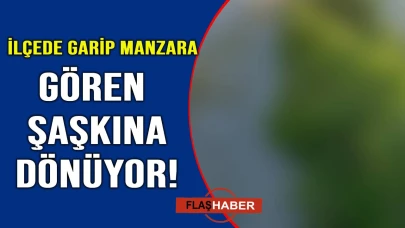 Gören üzerine basıp geçemiyor