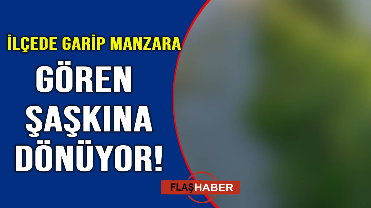 Gören üzerine basıp geçemiyor