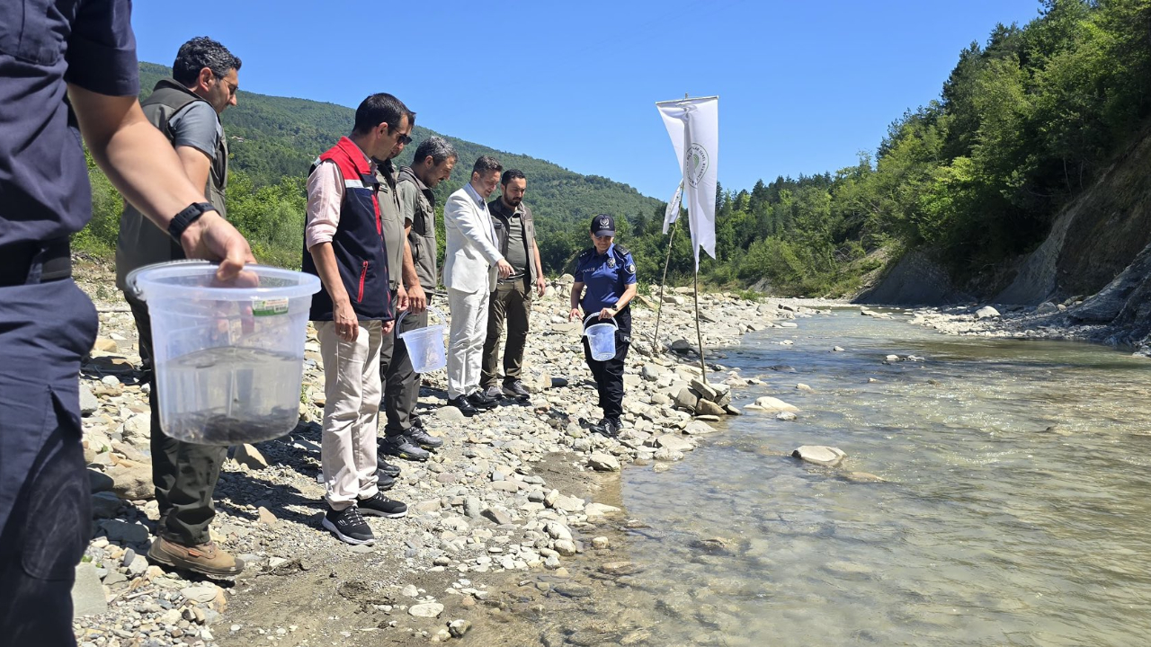 Sinop'ta derelere kırmızı benekli alabalık takviyesi
