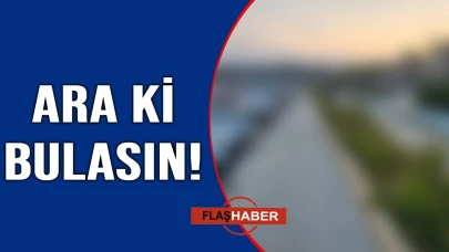 Bu parkta bir şeyler eksik