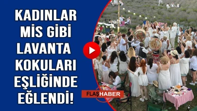 Sinop’ta lavanta bahçesinde büyüleyici gece