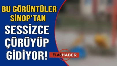 Kaderine bırakıldı