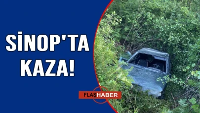 Sinop'ta kontrolden çıkan araç şarampole uçtu