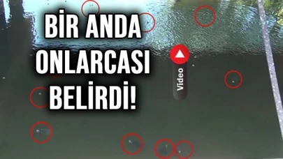 Gören telefona sarıldı!