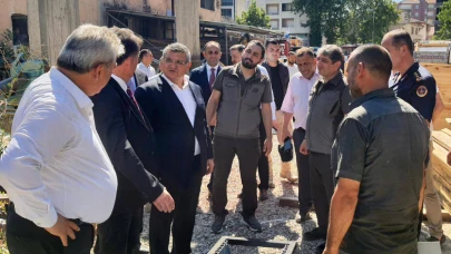 Sinop'ta sokak hayvanları için kapsamlı çalışma