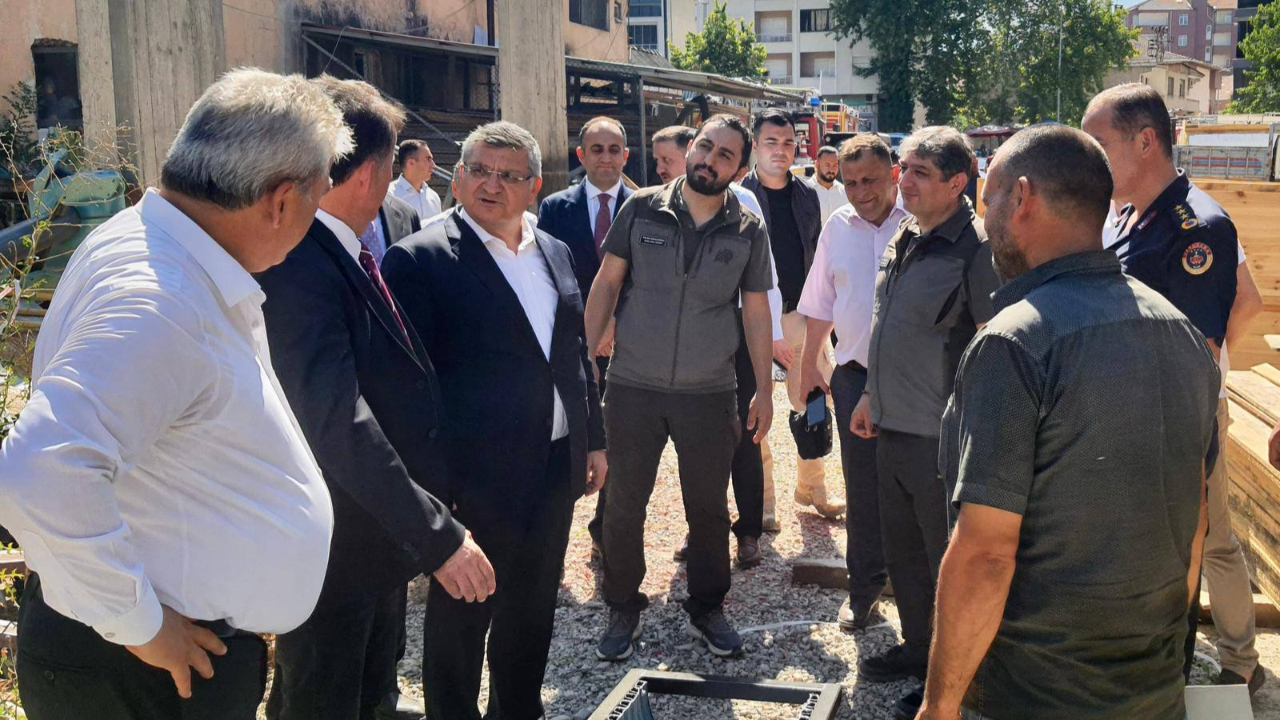 Sinop'ta sokak hayvanları için kapsamlı çalışma