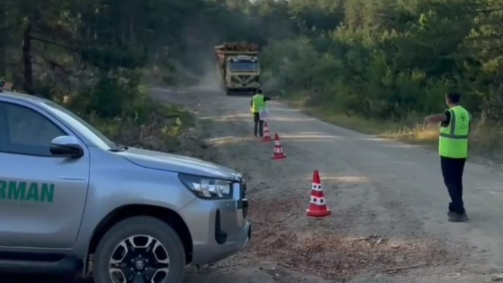 Sinop'ta orman kaçakçılığına sıkı denetim