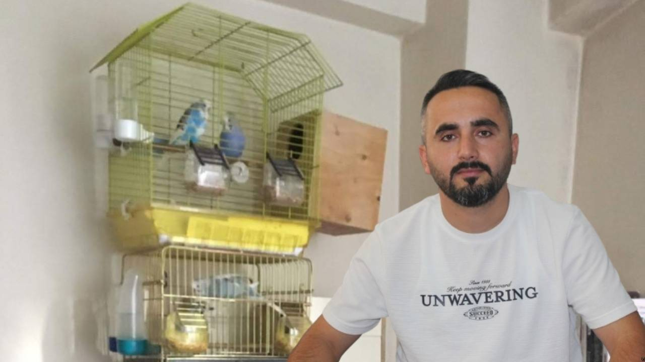 Sinop'ta muhabbet kuşları SMA hastaları için umut olacak!