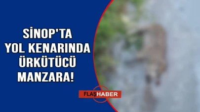 Yol kenarında ölü bulundular