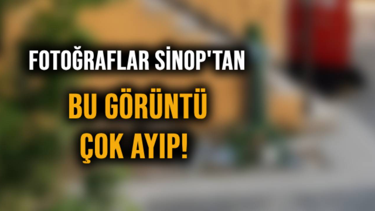 Şu manzara olacak iş değil
