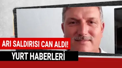 Yaban arıları dehşet saçtı