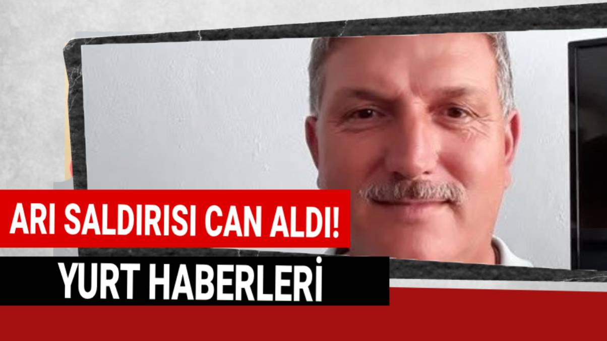 Yaban arıları dehşet saçtı