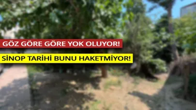 Sinop'ta tarihi değer yok oluyor