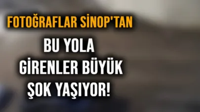 Elon Musk, görse koloni kurar