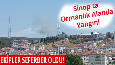 Sinop'ta ormanlık alanda yangın paniği