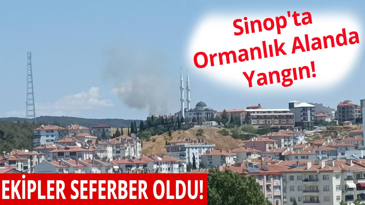 Sinop'ta ormanlık alanda yangın paniği