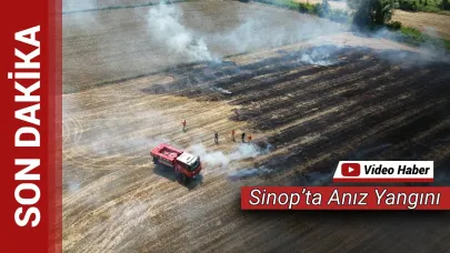 Sinop'ta korkutan anız yangını