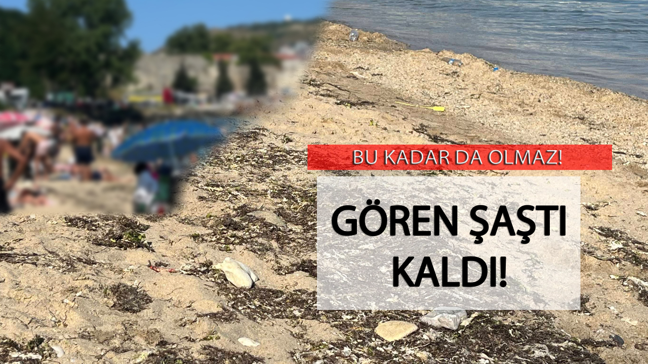 Eleştirildi