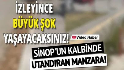 Kim temizleyecek bu alanı ?