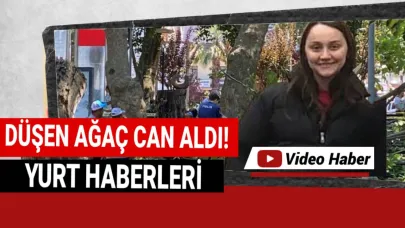 Çınar altında can verdi