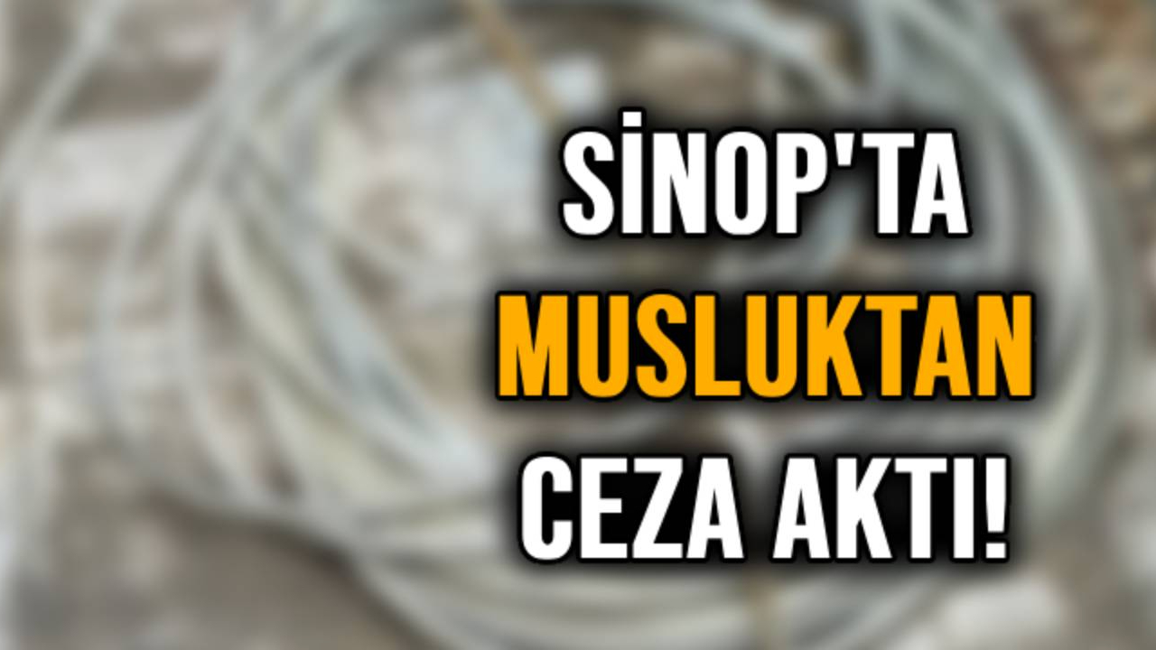Su hırsızları yakayı ele verdi