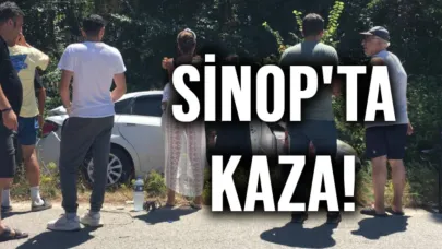 Direksiyon hakimiyetini kaybeden otomobil şarampole düştü:1 yaralı