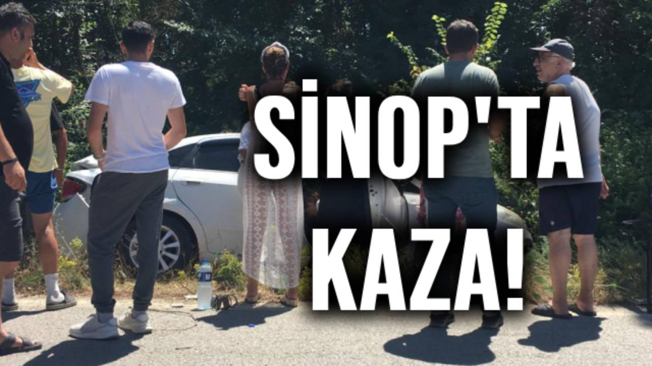 Direksiyon hakimiyetini kaybeden otomobil şarampole düştü:1 yaralı