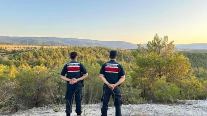 Sinop ormanları jandarma denetiminde