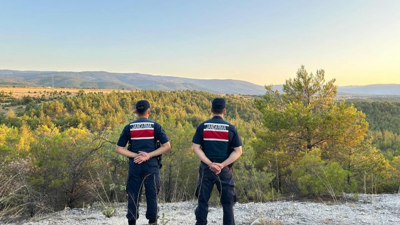 Sinop ormanları jandarma denetiminde