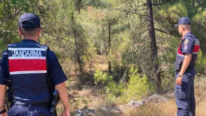 Jandarma ormanları didik didik etti