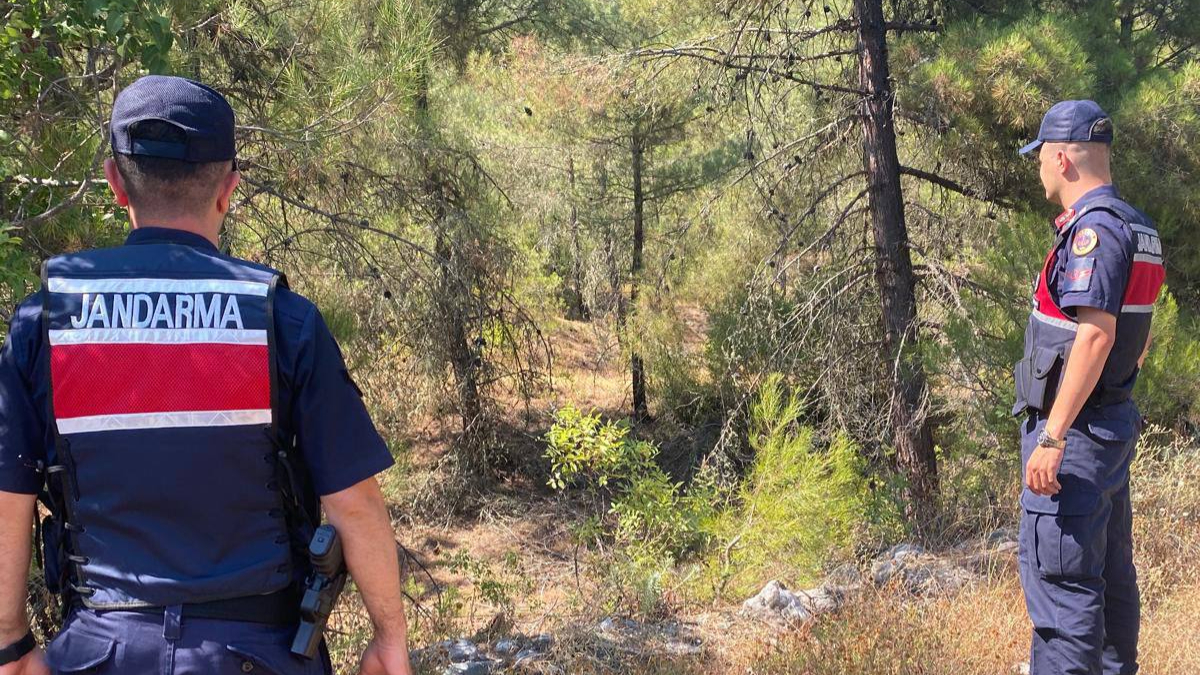 Jandarma ormanları didik didik etti