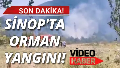 Ormanlık alanda yangın çıktı
