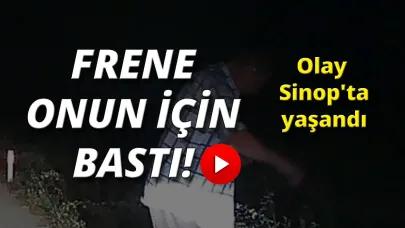 Yılan deyip geçmedi