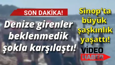 Kıyıyı işgal ettiler