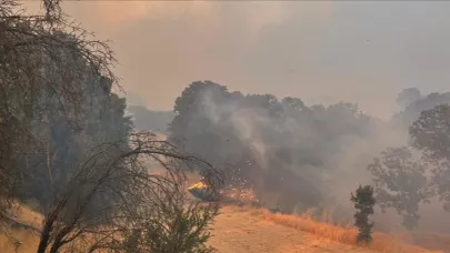 Orman yangınlarının yüzde 90'ı insan kaynaklı