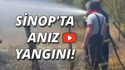 Anız yangını ekipleri harekete geçirdi