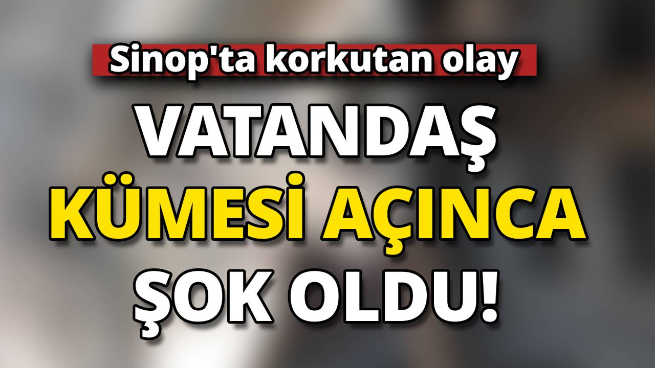 Beklenmeyen misafir büyük panik yaşattı