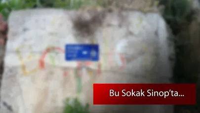 Sokağın ismini gören durup fotoğraf çektirdi