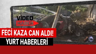 Yoldan çıkan tır üzüm bağına uçtu: 1 ölü