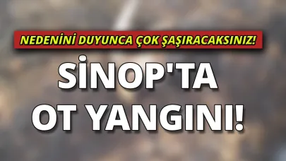 Bu sefer o sebep oldu
