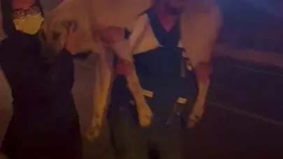 Yangın bölgesindeki hayvanların tahliyesi için seferber oldular