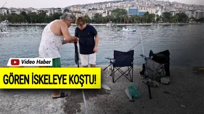 Sinop'ta deniz soğuğu bereketi beraberinde getirdi